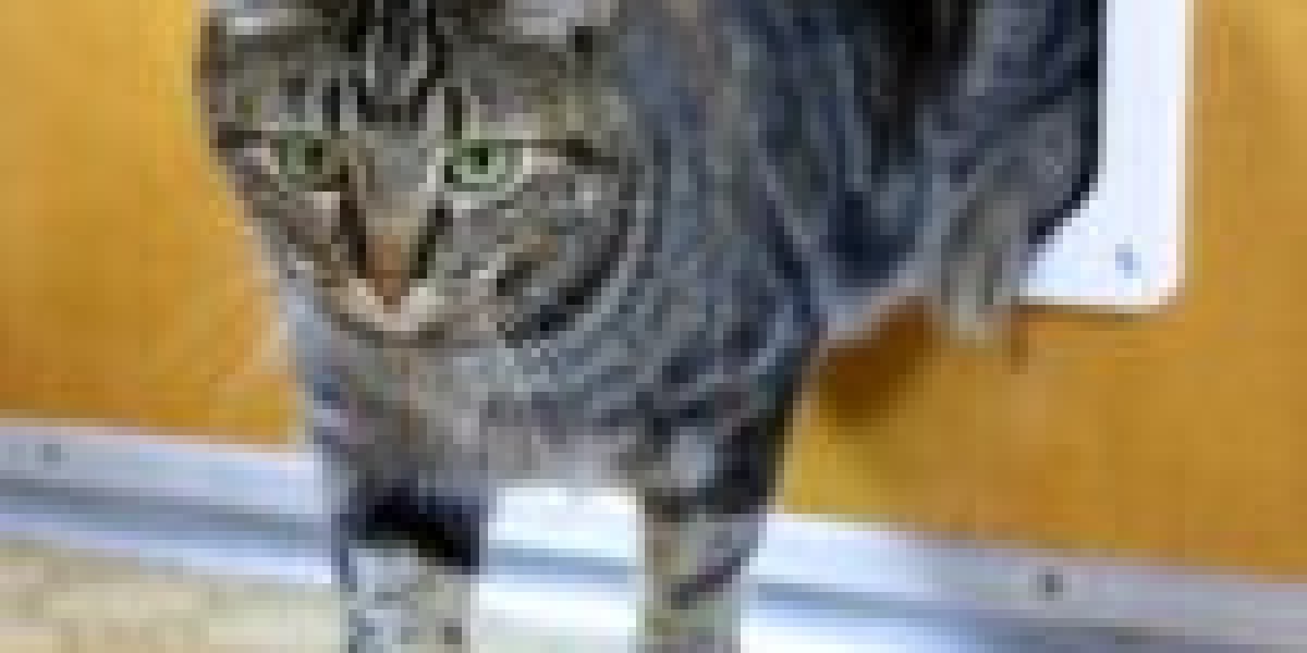 Why Trained Cat Flap Fitter Is Relevant 2024