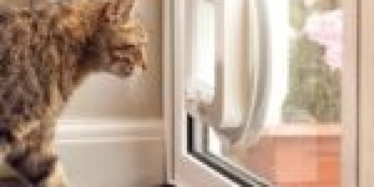 Why Nobody Cares About Cat Door Setup